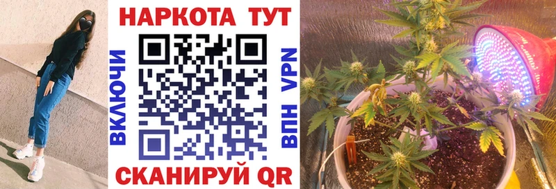 Продажа наркотиков Малаховка Бошки Шишки Cocaine ГАШИШ Меф