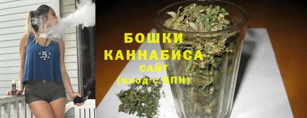 метадон Няндома