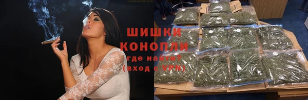 метадон Няндома