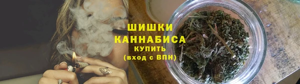 метадон Няндома