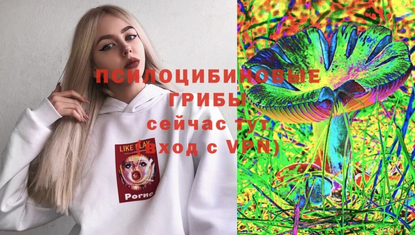 скорость Калининец