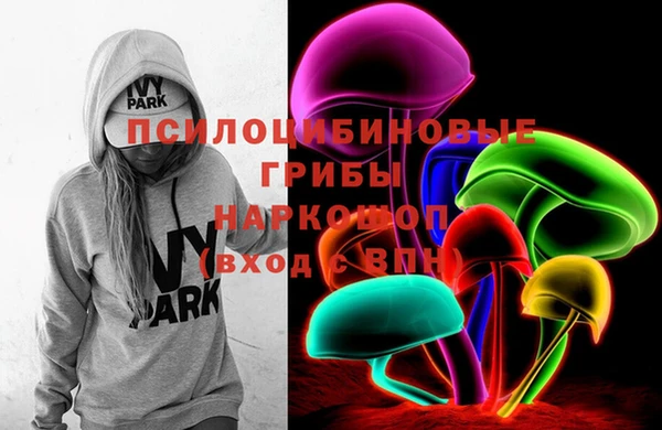 метадон Няндома