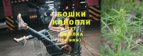 метадон Няндома