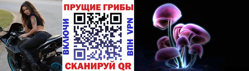 Галлюциногенные грибы GOLDEN TEACHER  Малаховка 